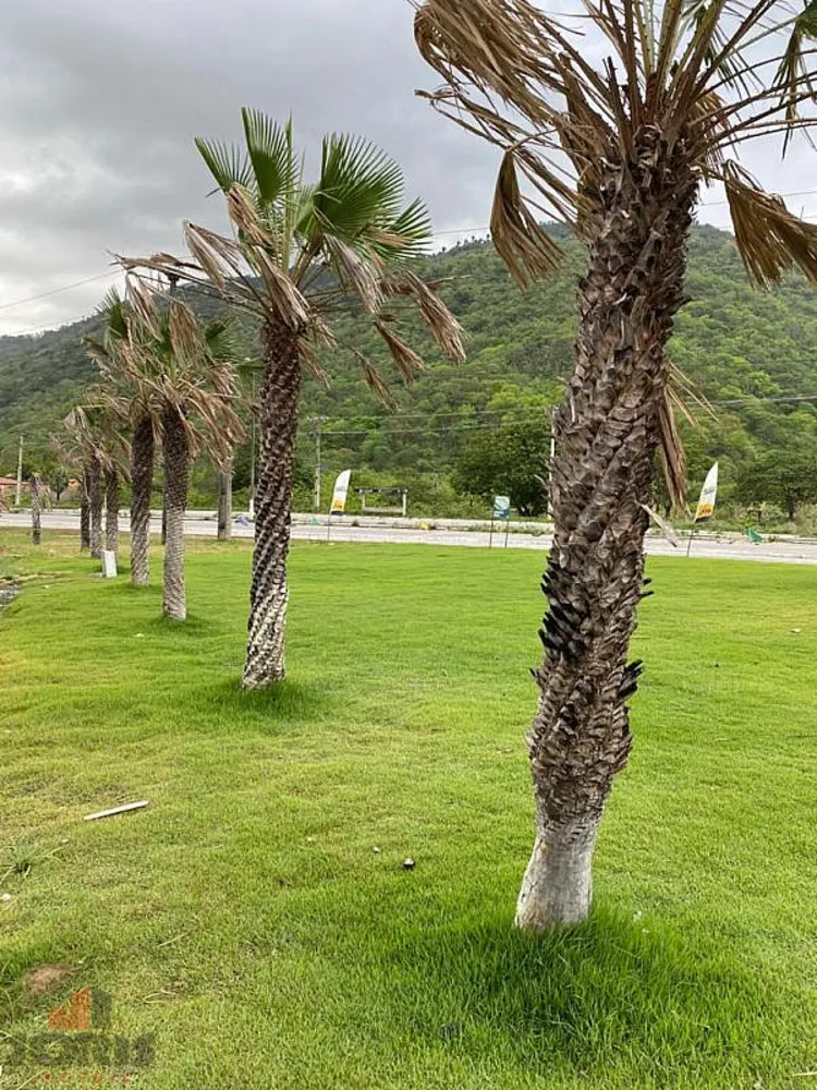 Terreno, 150 m² - Foto 15
