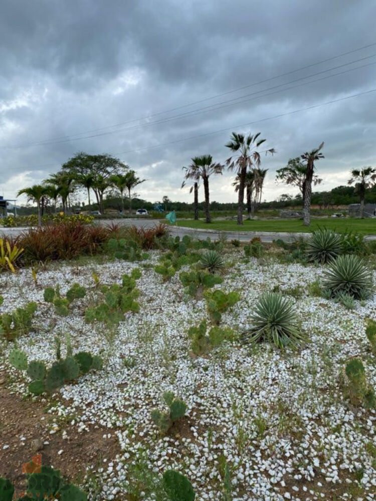 Terreno, 150 m² - Foto 4