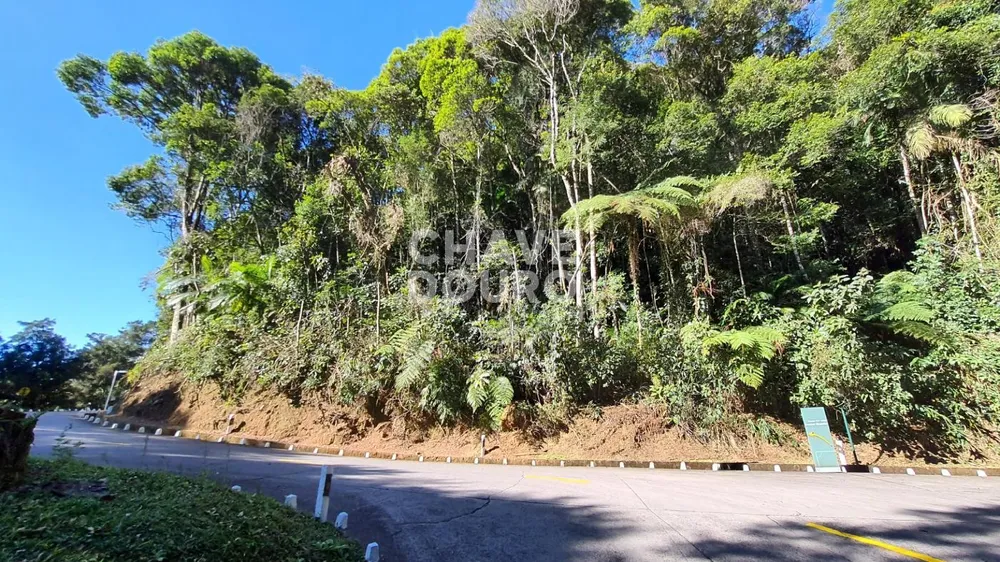 Terreno, 7 hectares - Foto 2