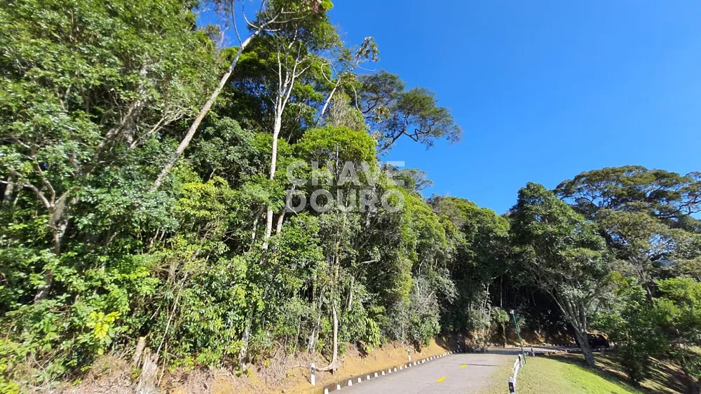 Terreno, 7 hectares - Foto 4