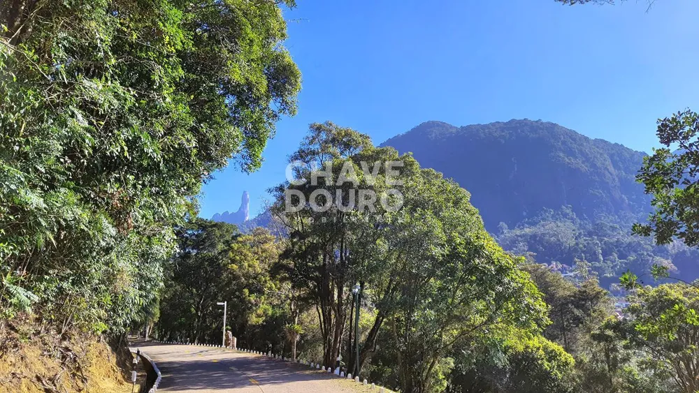 Terreno, 7 hectares - Foto 3