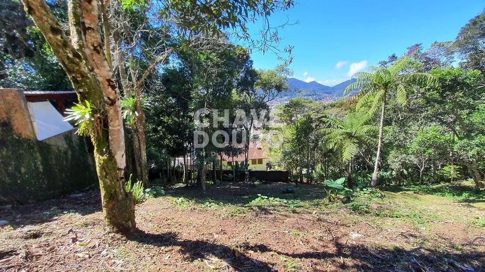 Terreno, 728 m² - Foto 6