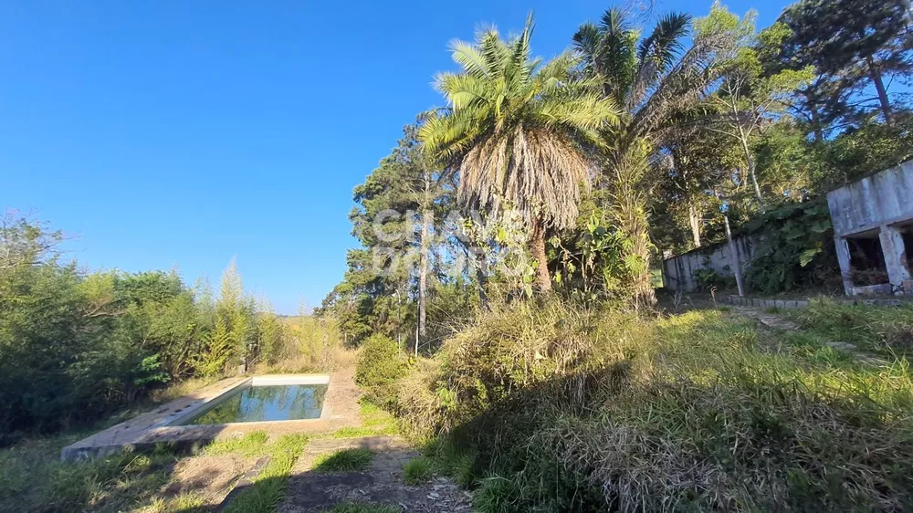 Terreno, 4840 m² - Foto 3