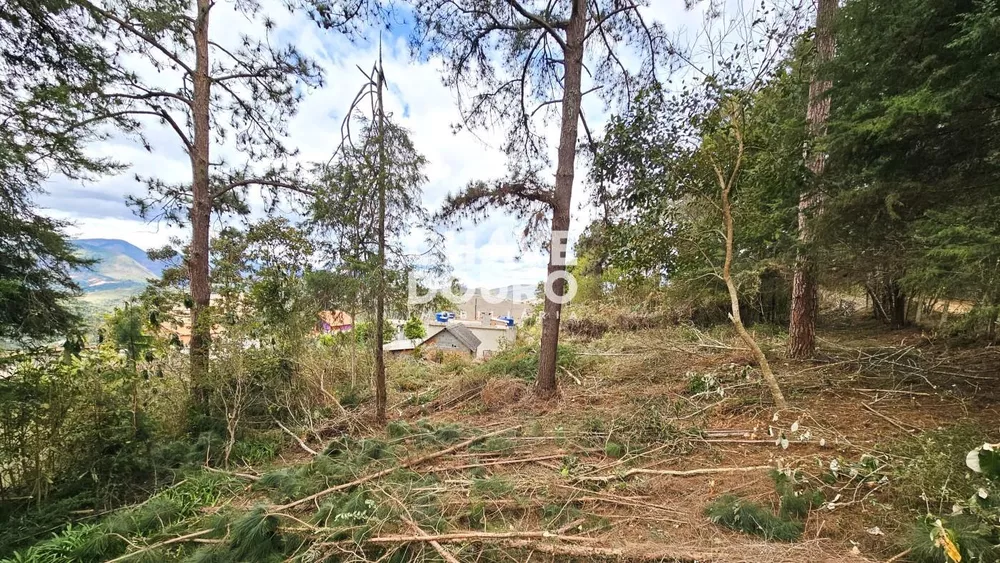 Terreno, 4840 m² - Foto 16