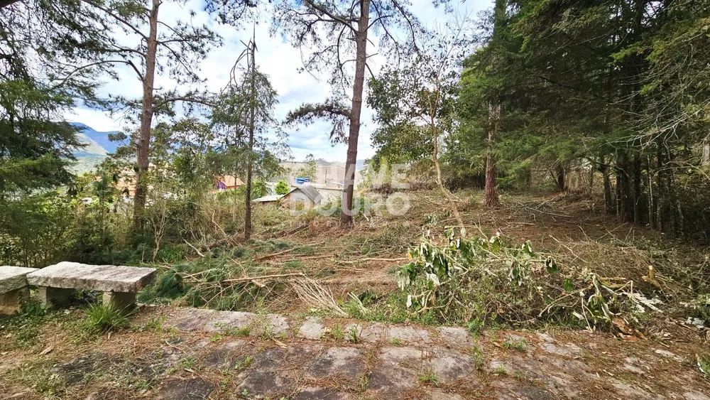 Terreno, 4840 m² - Foto 13