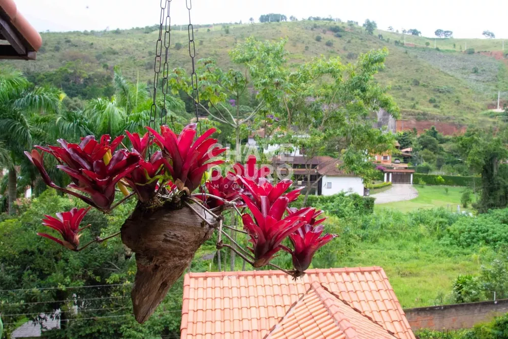 Casa, 4 quartos, 111 m² - Foto 6