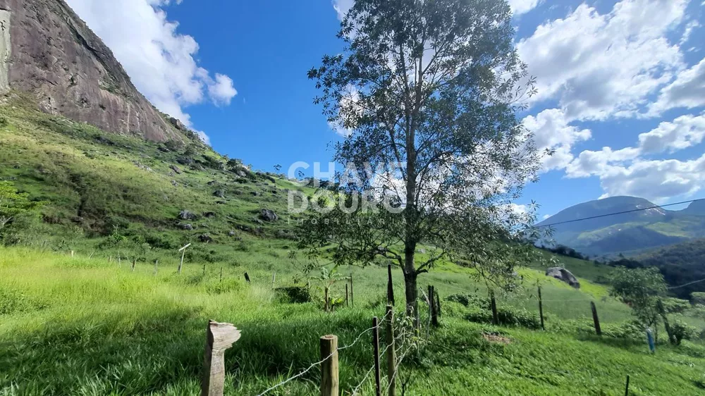 Terreno, 4000 m² - Foto 7