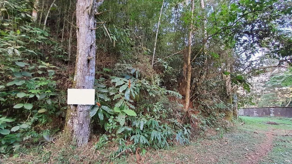 Terreno, 4970 m² - Foto 3