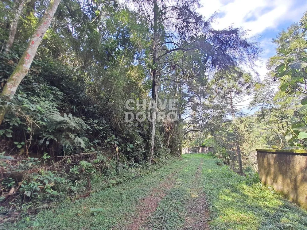 Terreno, 4970 m² - Foto 4