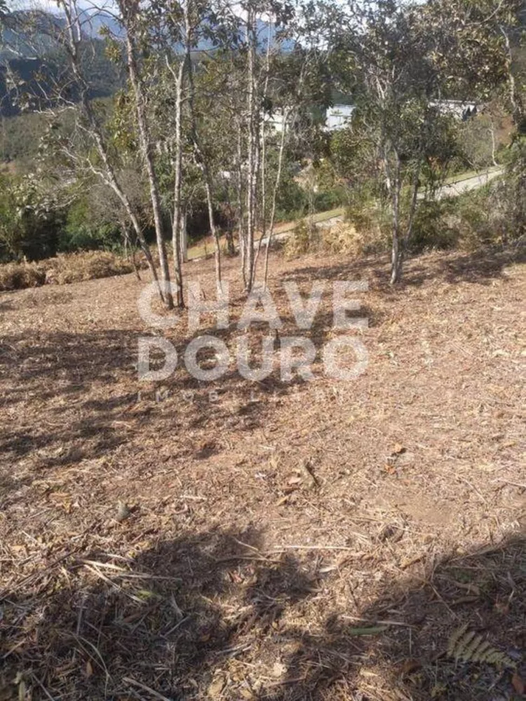 Terreno, 424 m² - Foto 12