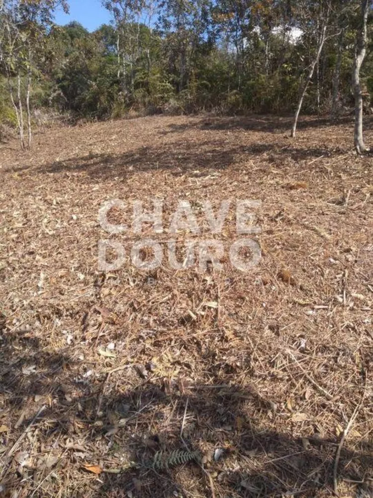 Terreno, 424 m² - Foto 11