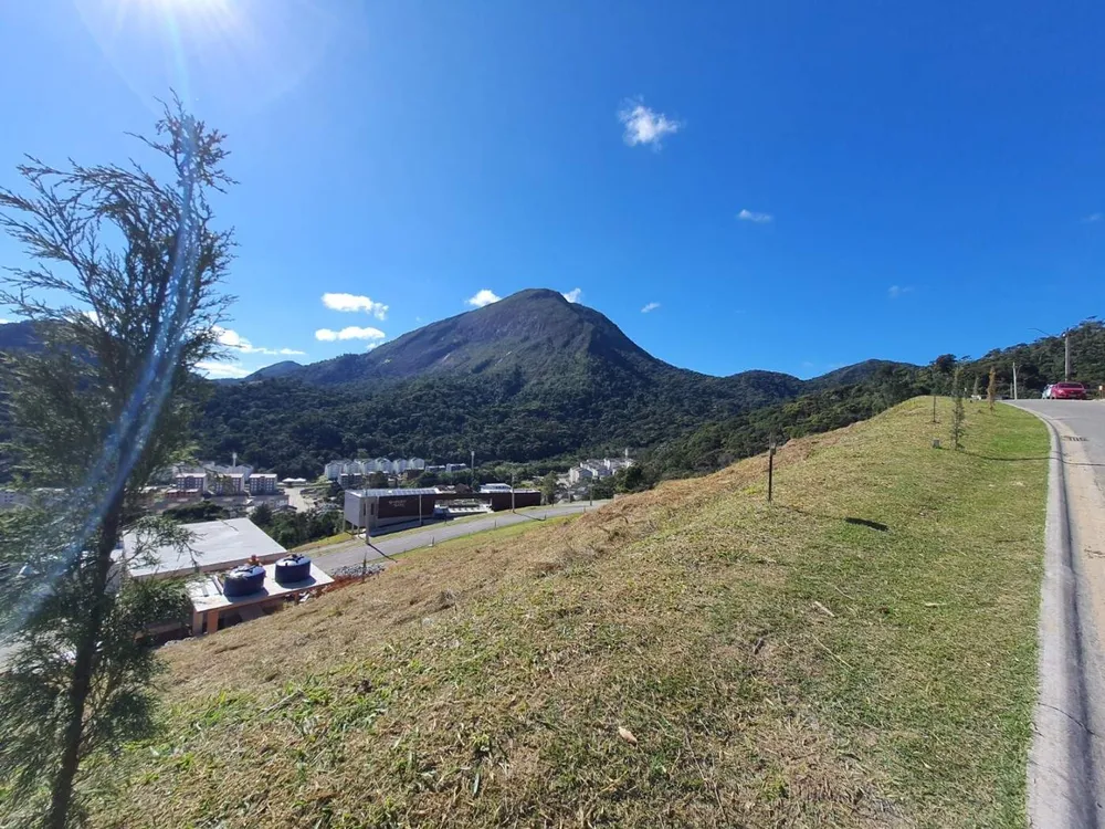Terreno, 246 m² - Foto 4