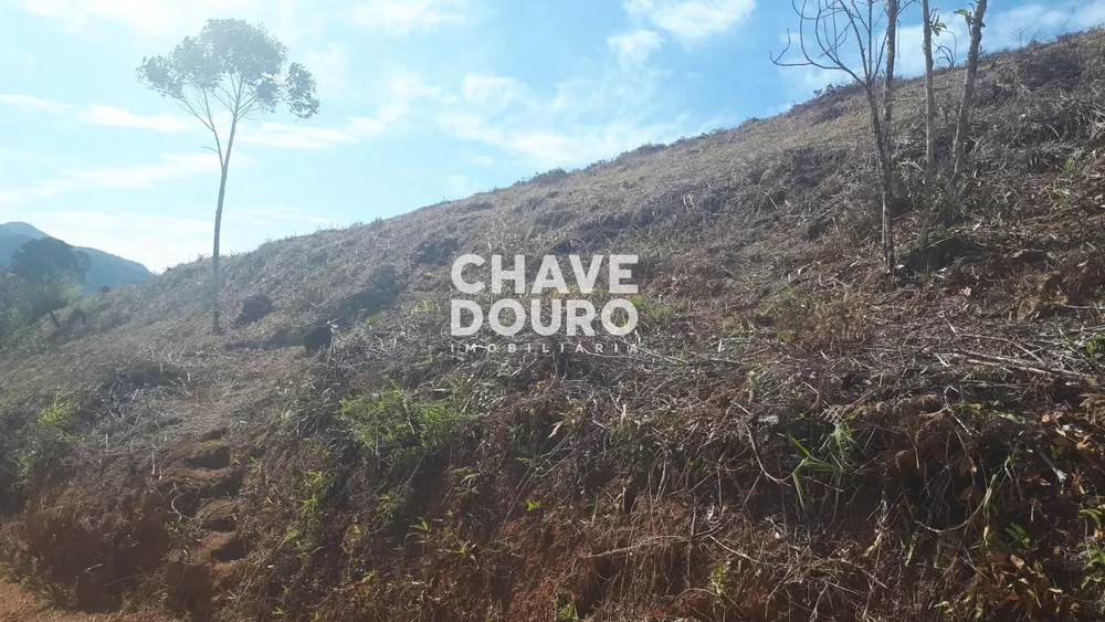 Terreno, 1160 m² - Foto 7