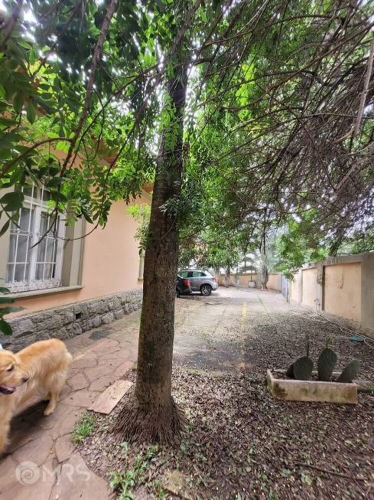 Casa, 4 quartos, 450 m² - Foto 12