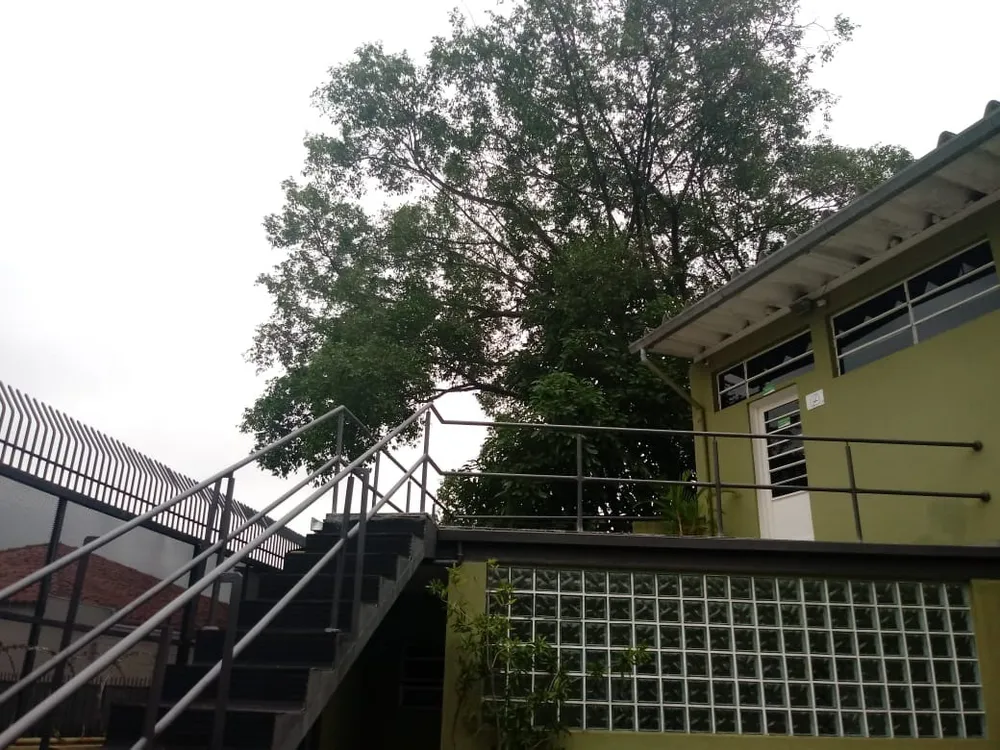 Casa, 6 quartos - Foto 5