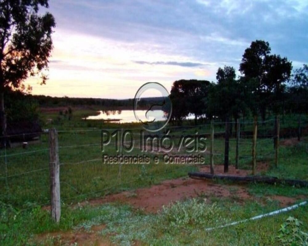 Fazenda à venda com 4 quartos, 4000m² - Foto 4