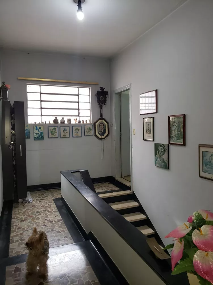 Casa à venda com 3 quartos, 500m² - Foto 8