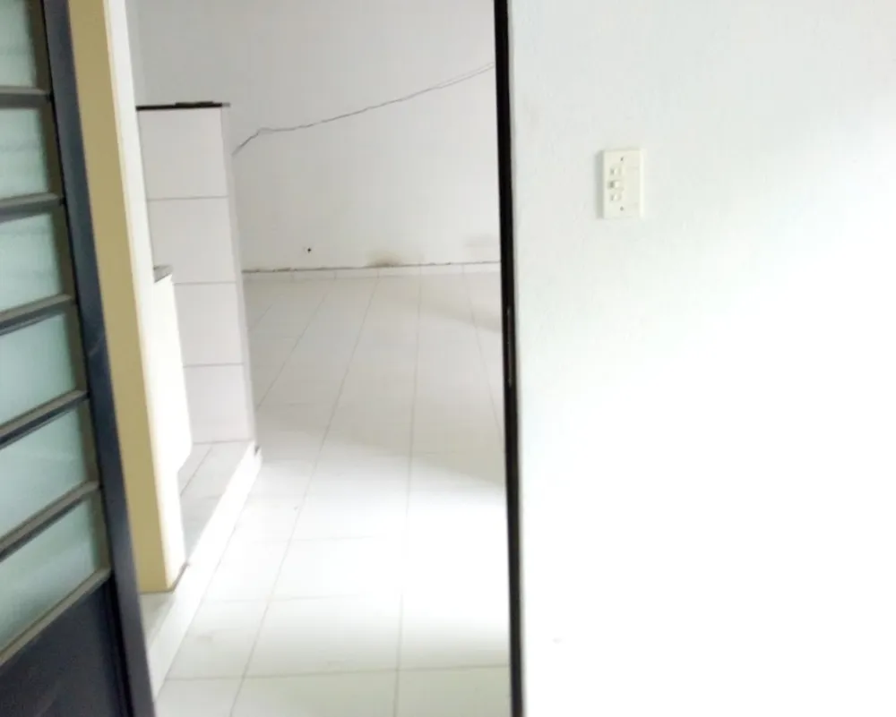 Casa, 4 quartos, 397 m² - Foto 6