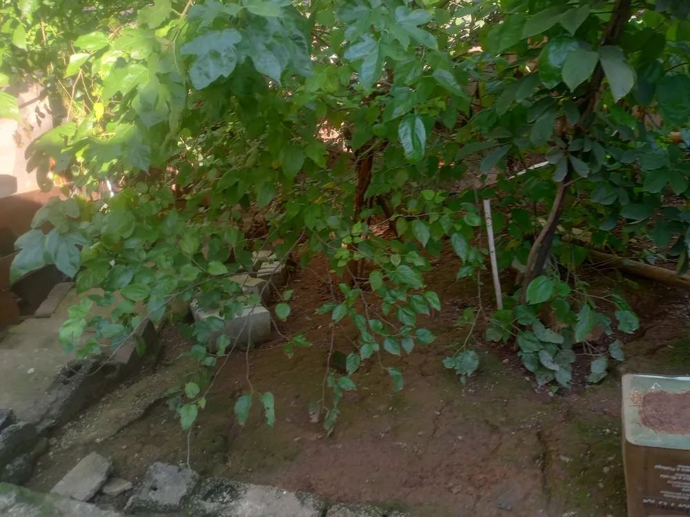 Terreno, 400 m² - Foto 13