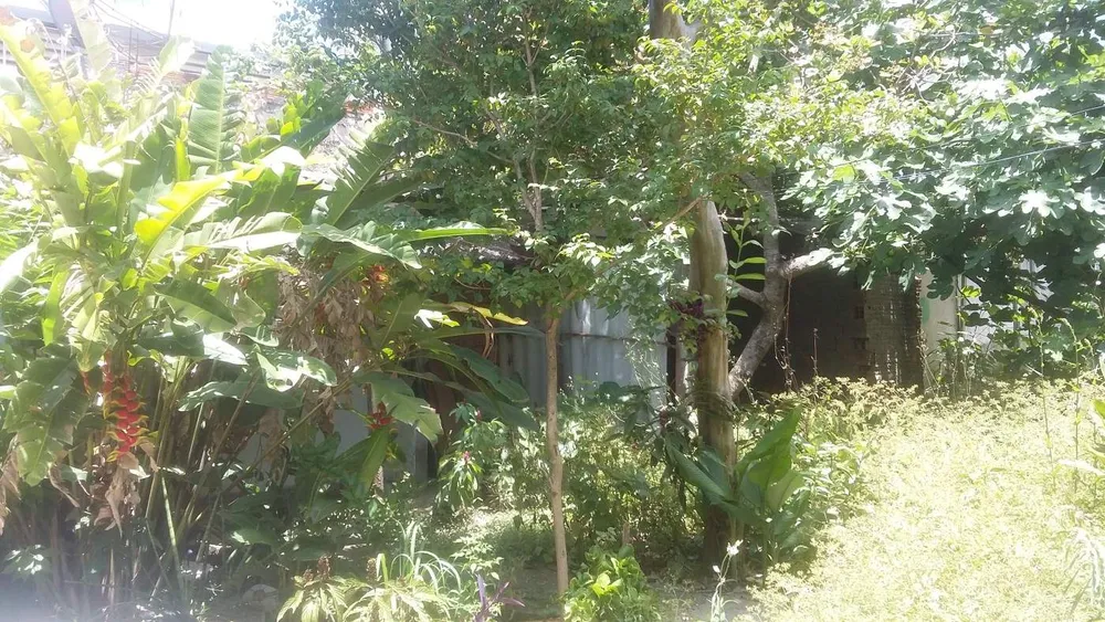Casa, 2 quartos, 500 m² - Foto 3