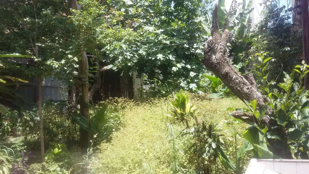 Casa, 2 quartos, 500 m² - Foto 1