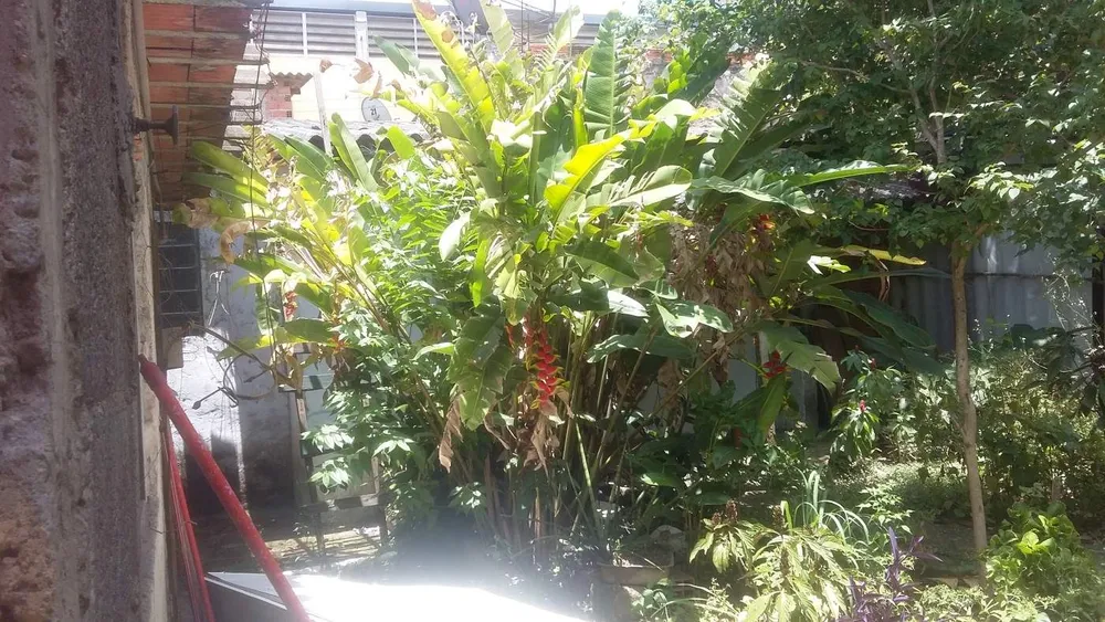 Casa, 2 quartos, 500 m² - Foto 2
