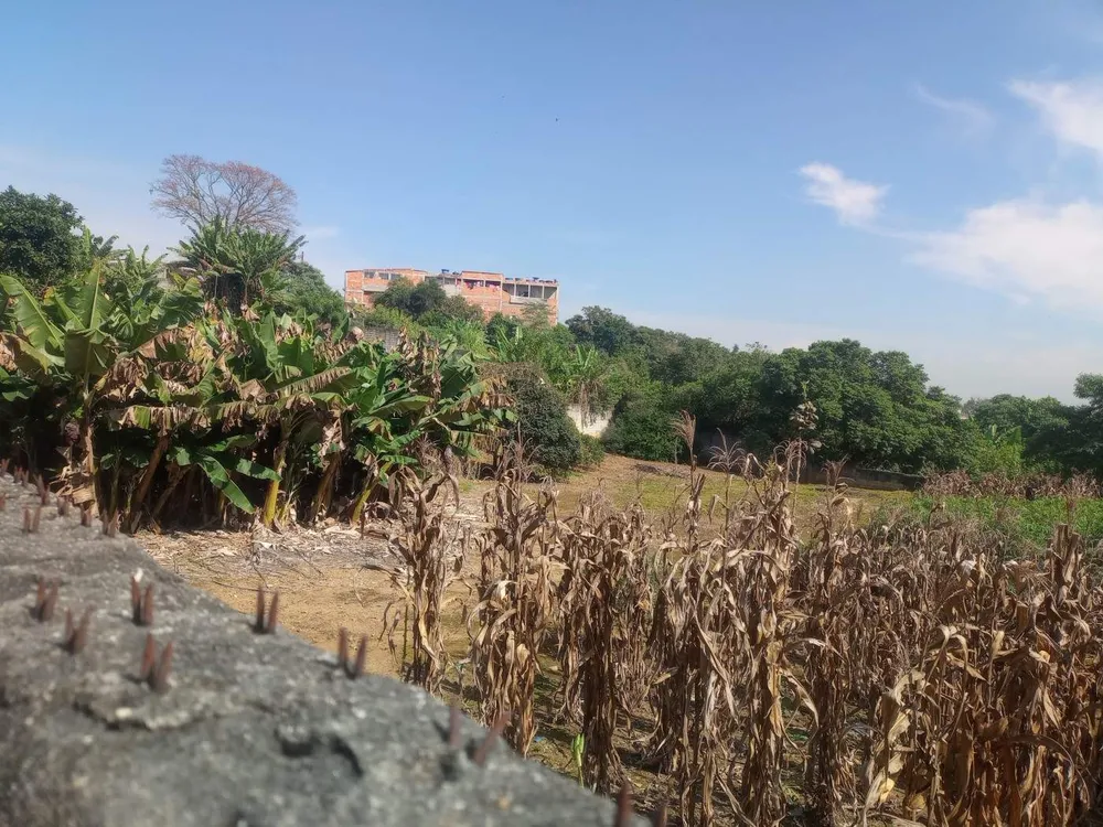 Terreno, 4000 m² - Foto 1