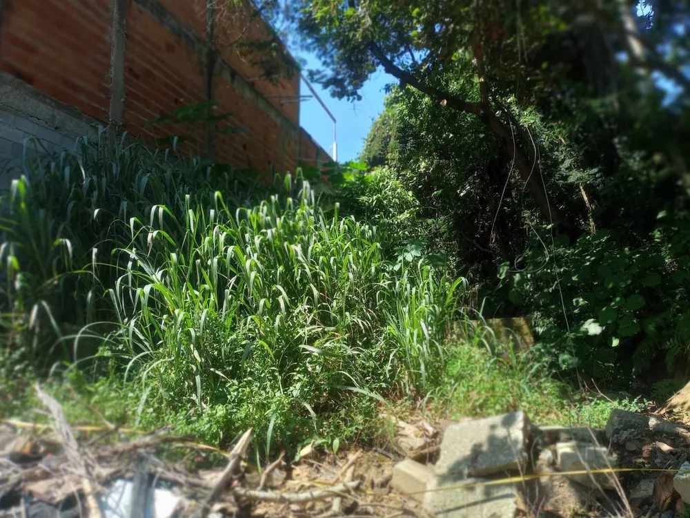 Terreno, 800 m² - Foto 2