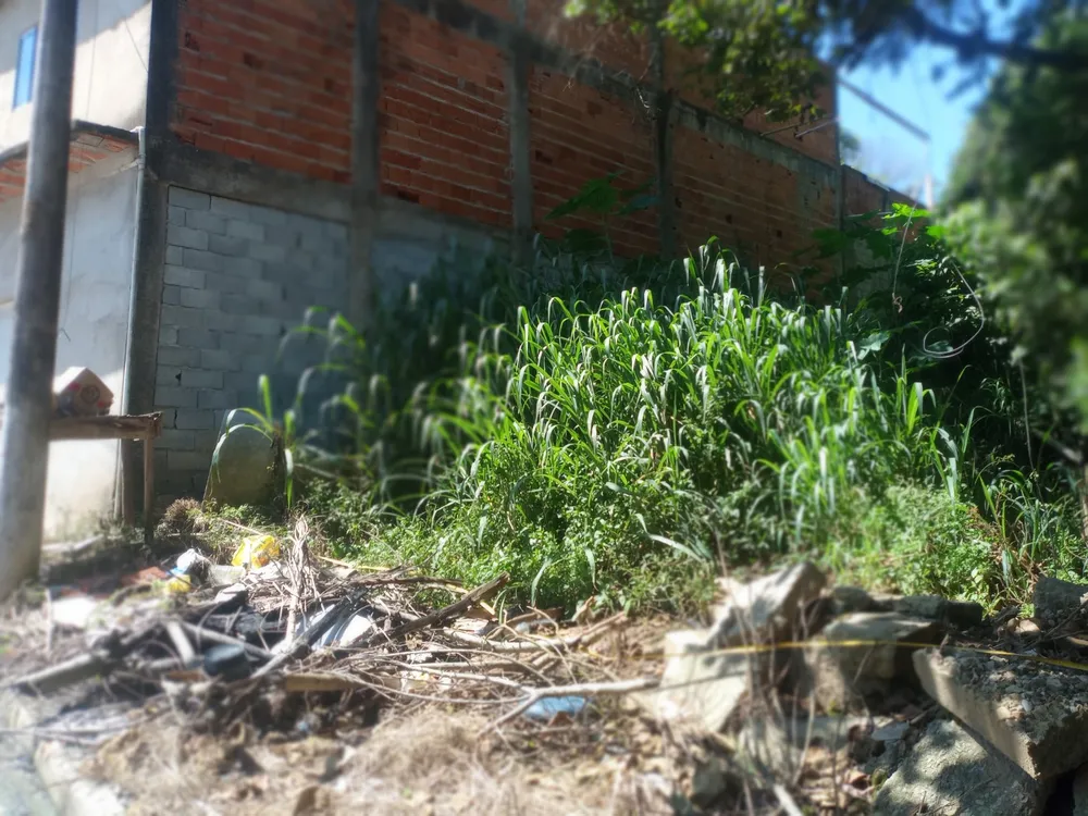 Terreno, 800 m² - Foto 10
