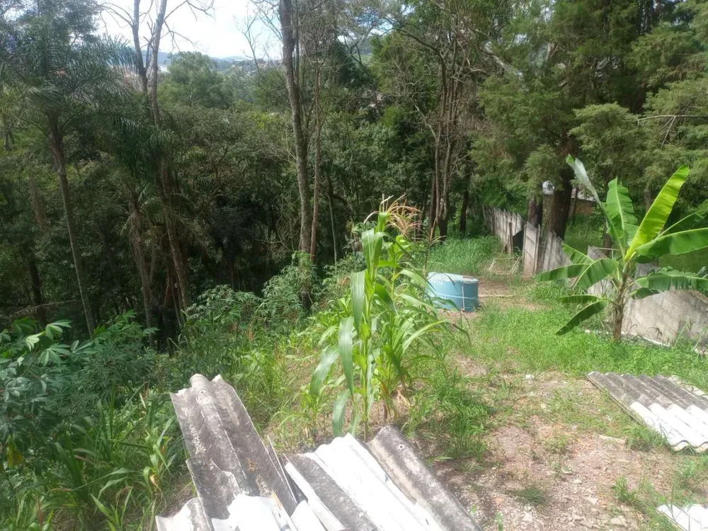 Terreno, 5000 m² - Foto 2