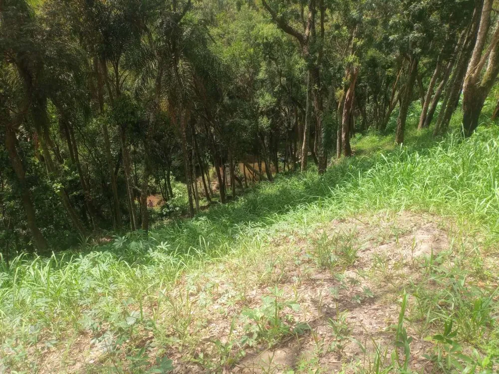 Terreno, 5000 m² - Foto 6