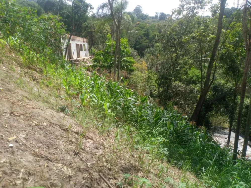 Terreno, 5000 m² - Foto 4
