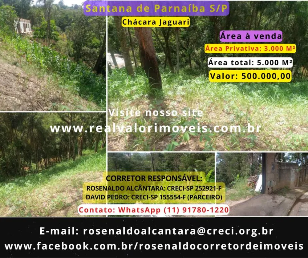 Terreno, 5000 m² - Foto 3