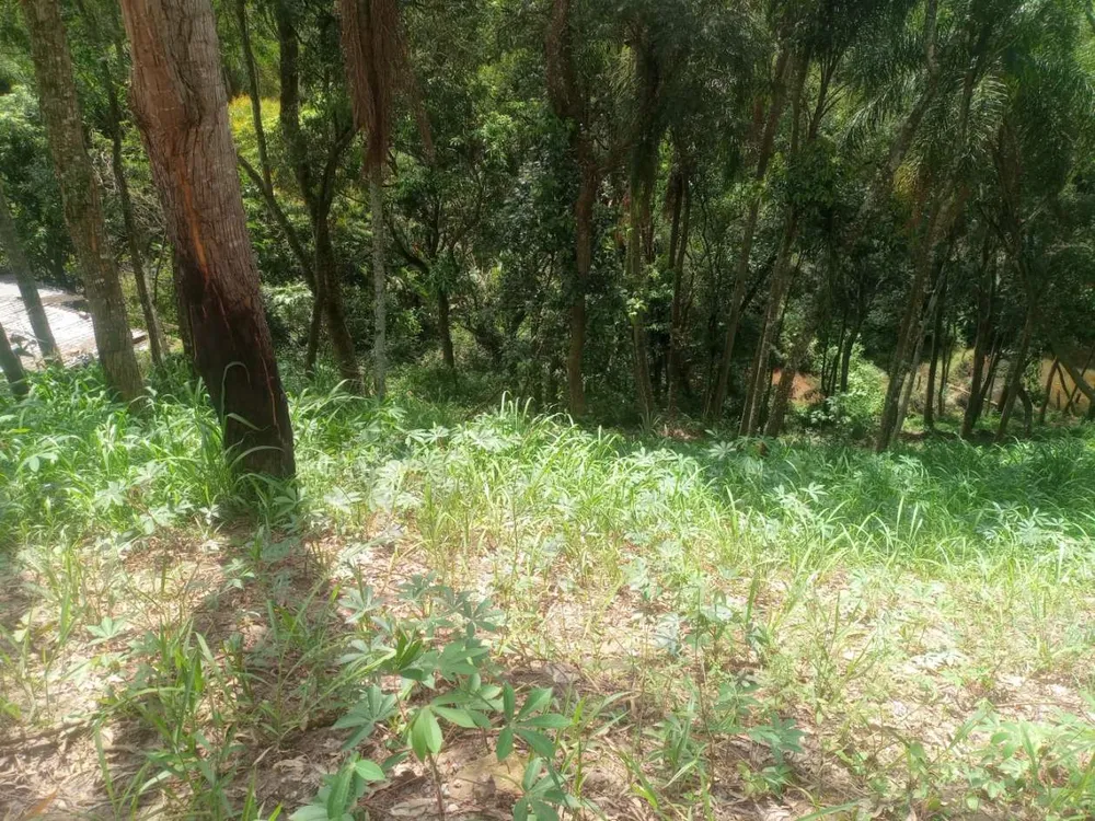 Terreno, 5000 m² - Foto 7