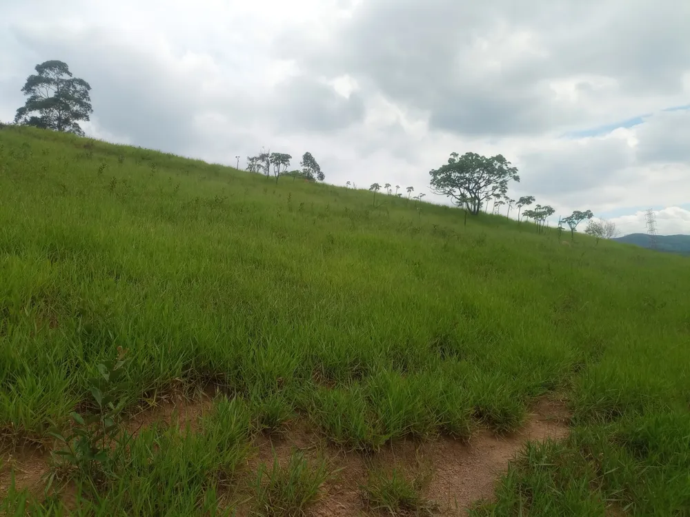 Terreno, 3000 m² - Foto 3