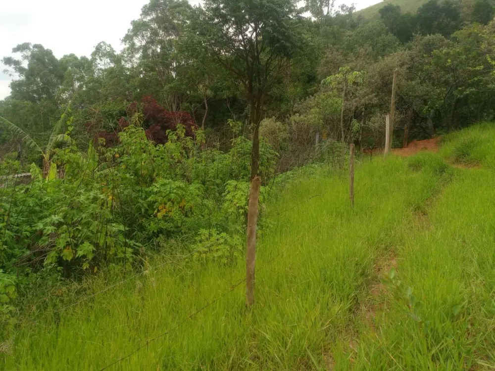 Terreno, 3000 m² - Foto 2