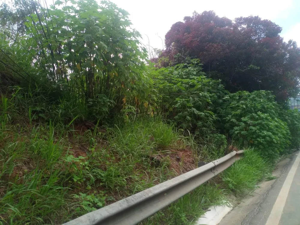 Terreno, 3000 m² - Foto 4
