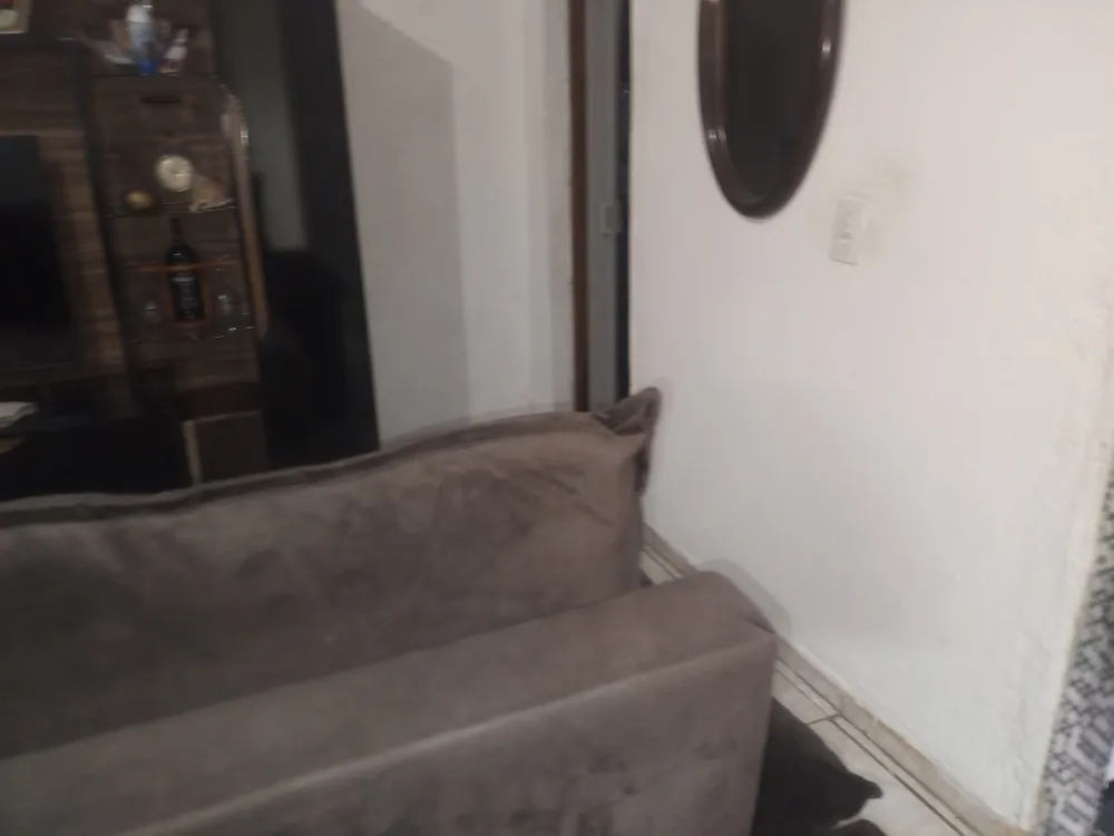 Casa, 4 quartos, 250 m² - Foto 4