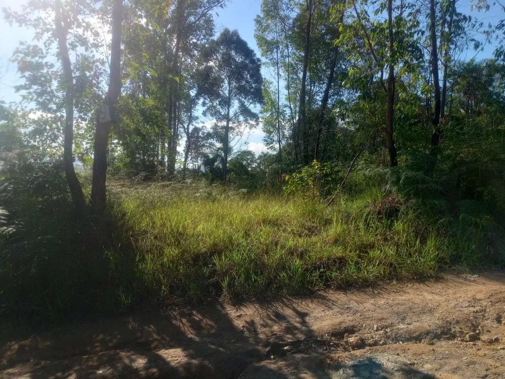 Terreno, 3000 m² - Foto 9