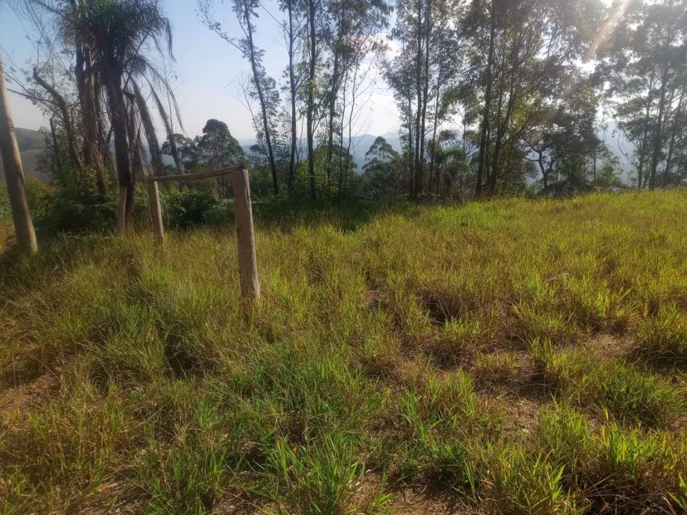 Terreno, 3000 m² - Foto 13