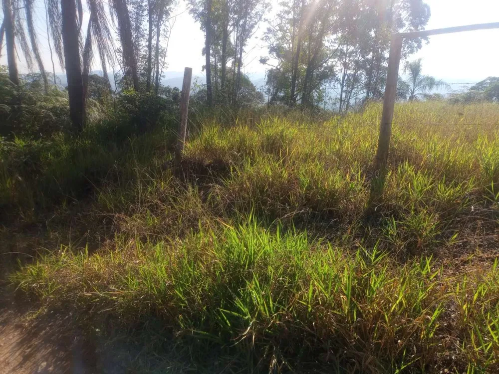 Terreno, 3000 m² - Foto 15