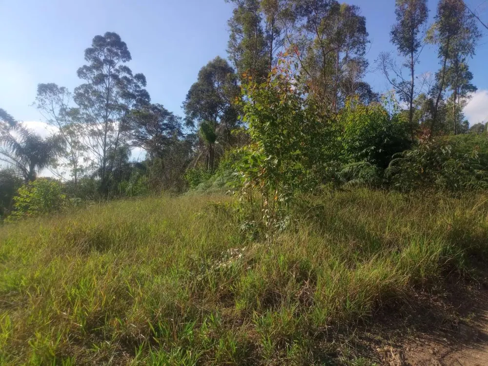 Terreno, 3000 m² - Foto 3