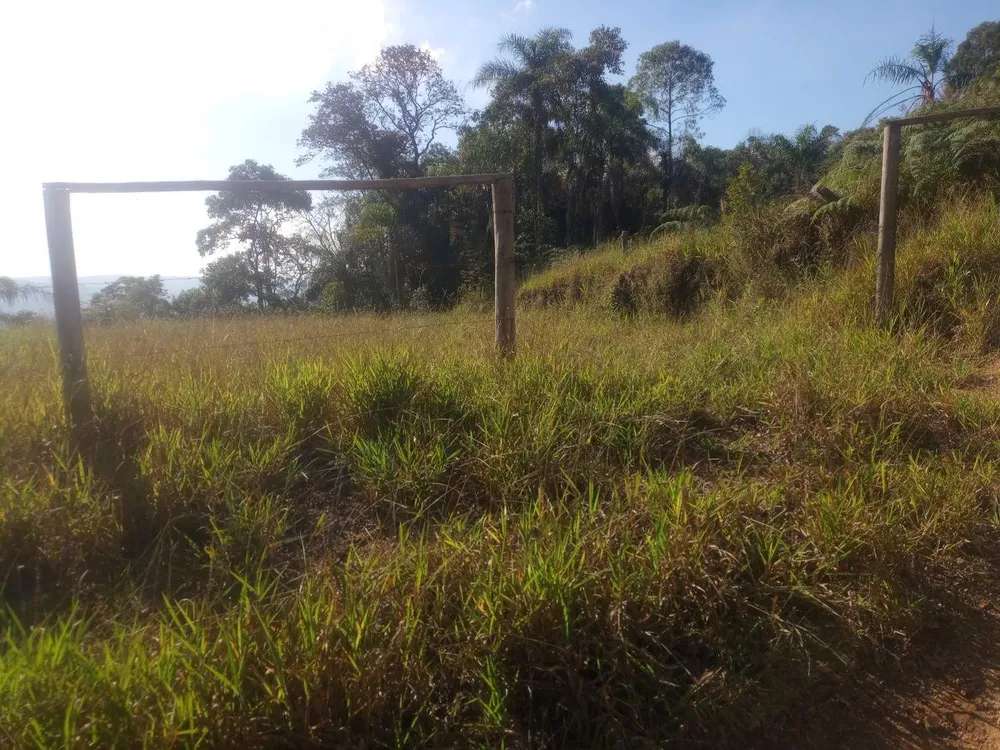 Terreno, 3000 m² - Foto 14