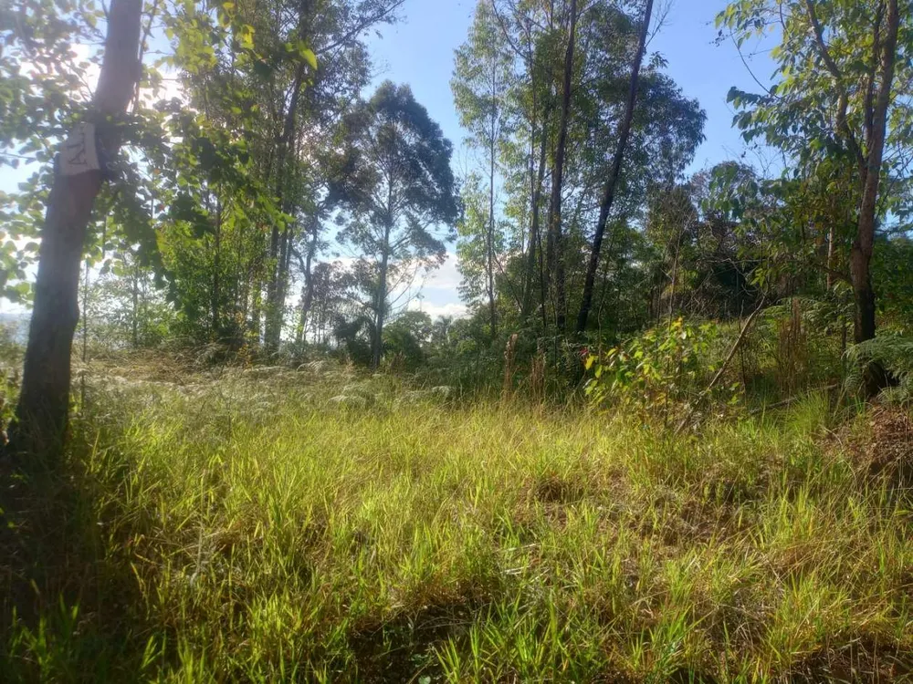Terreno, 3000 m² - Foto 6