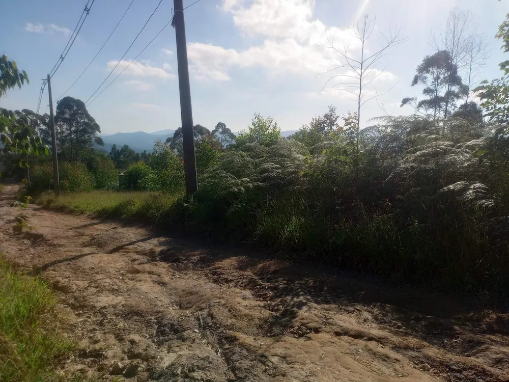 Terreno, 3000 m² - Foto 7
