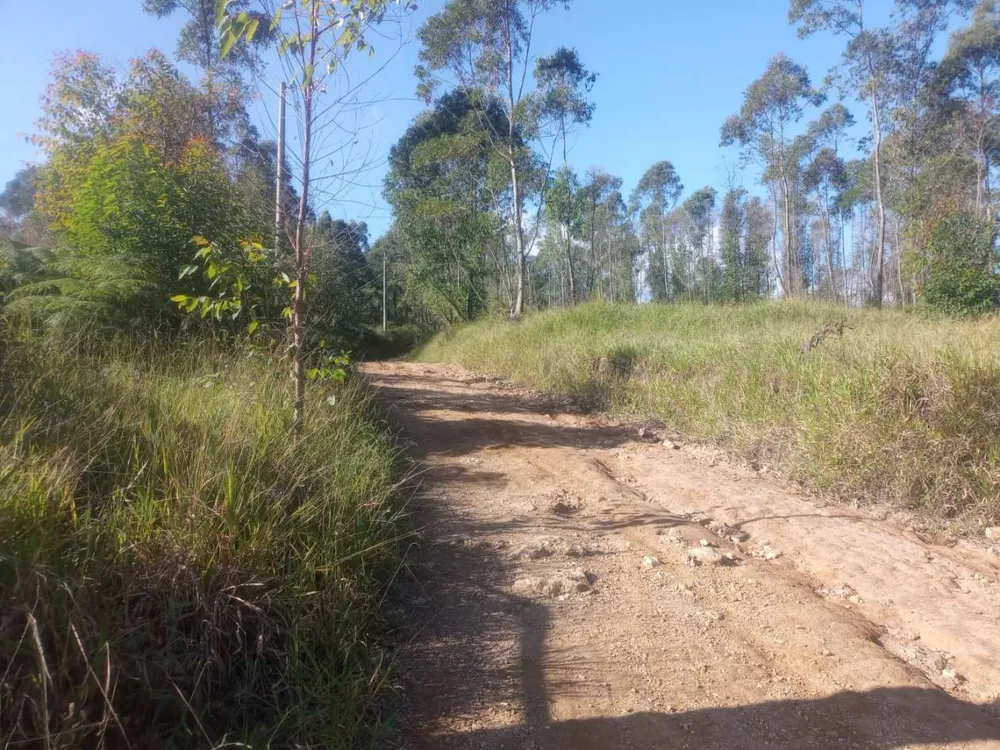 Terreno, 3000 m² - Foto 11