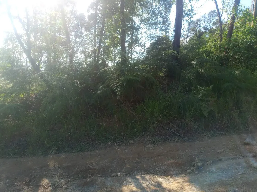 Terreno, 3000 m² - Foto 10