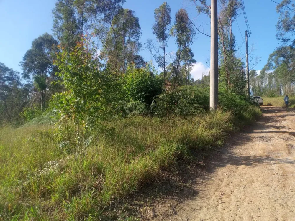 Terreno, 3000 m² - Foto 2