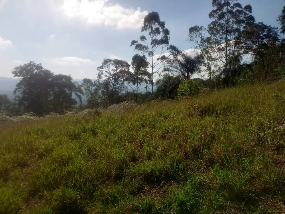 Terreno, 3000 m² - Foto 4
