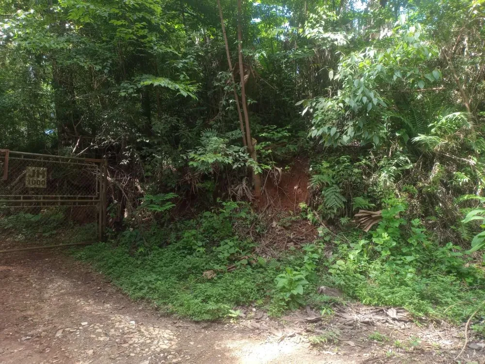 Terreno, 89 hectares - Foto 4
